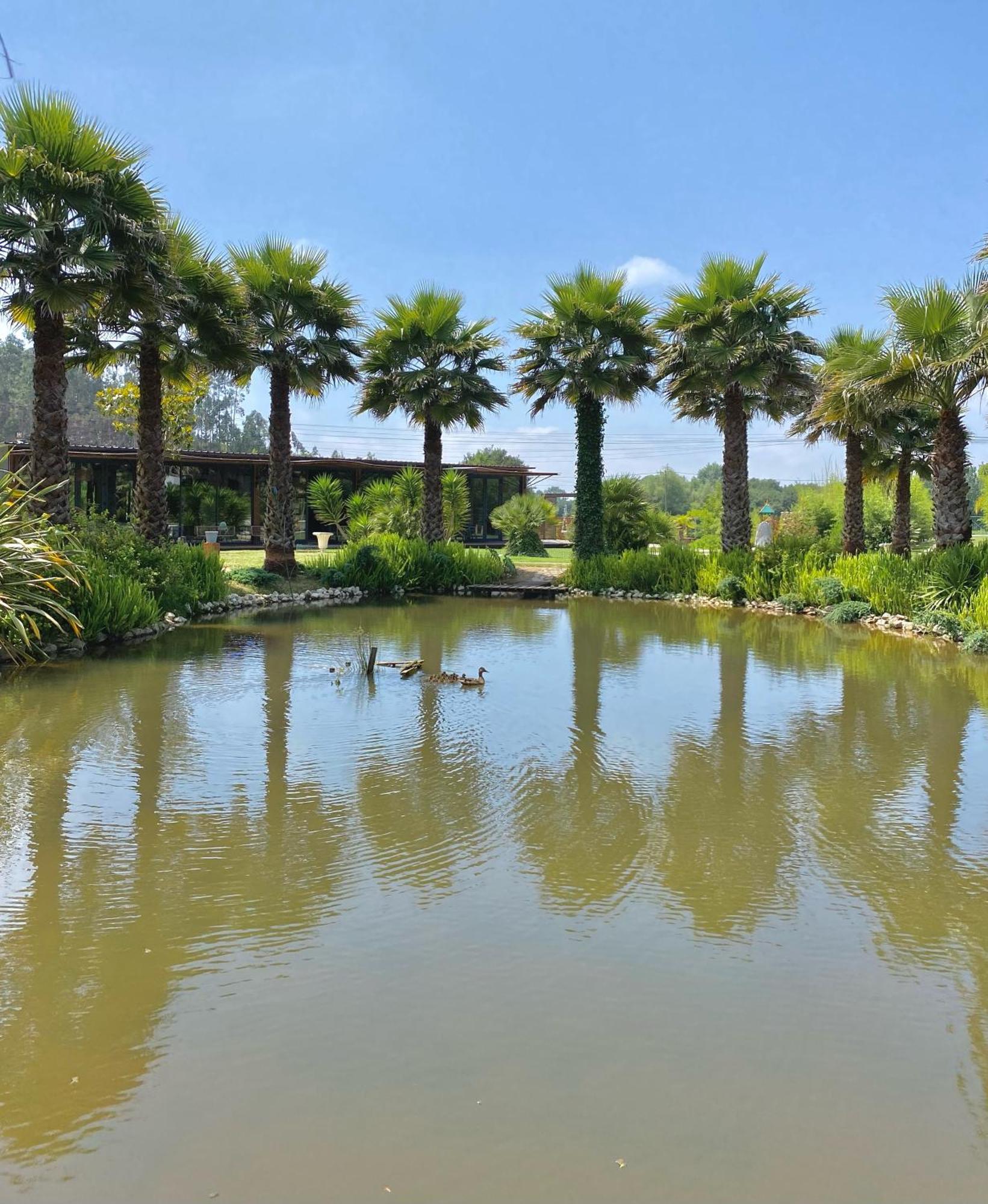 Refugio Do Lago Frossos Ngoại thất bức ảnh
