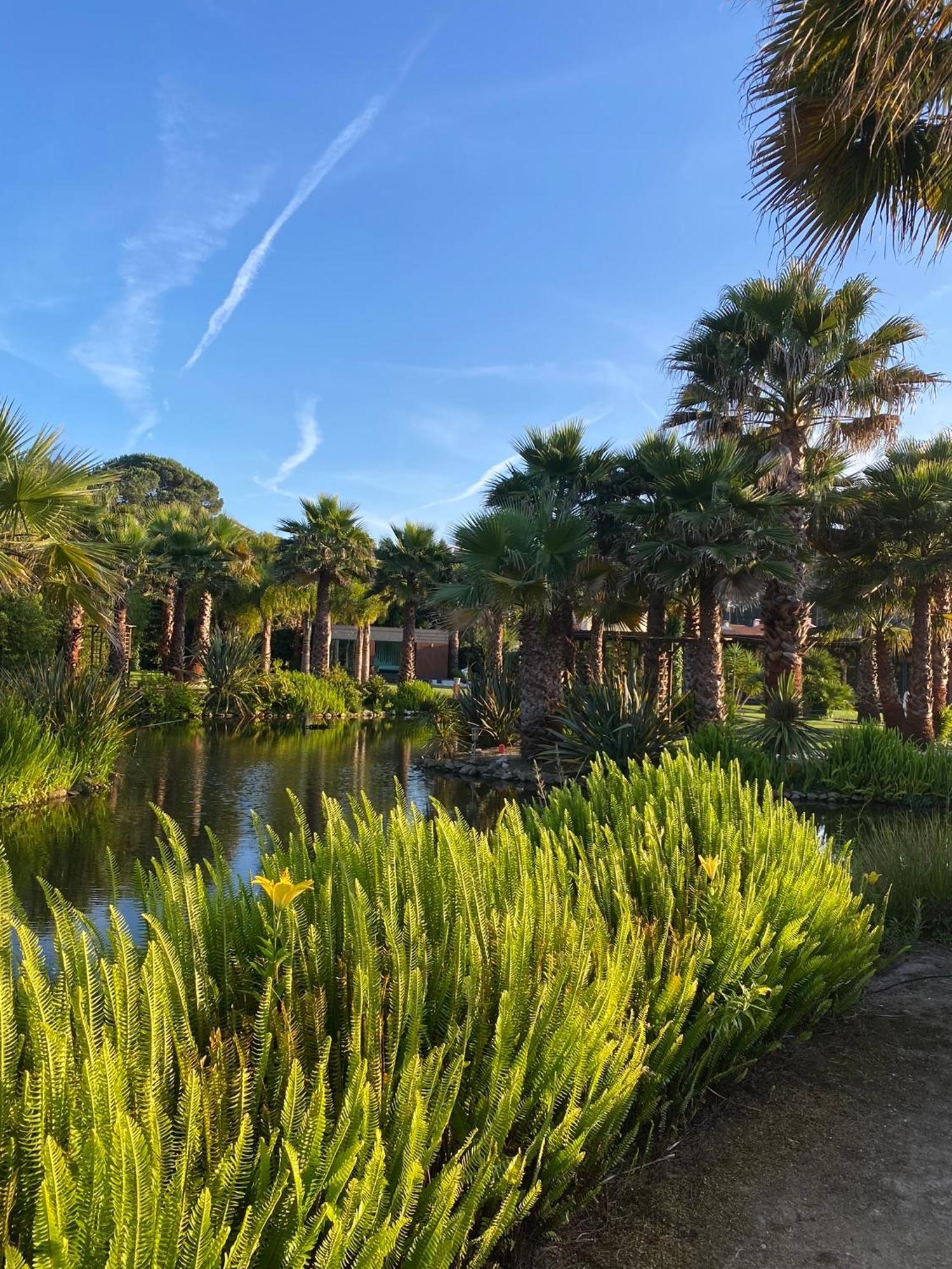 Refugio Do Lago Frossos Ngoại thất bức ảnh